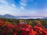 安徽映山红博览园