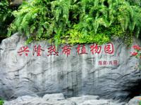 兴隆热带植物园