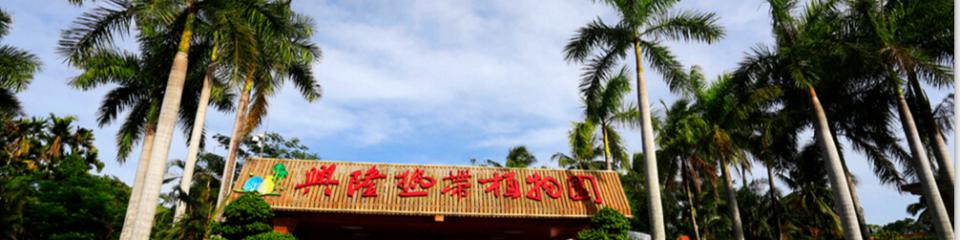 兴隆热带植物园