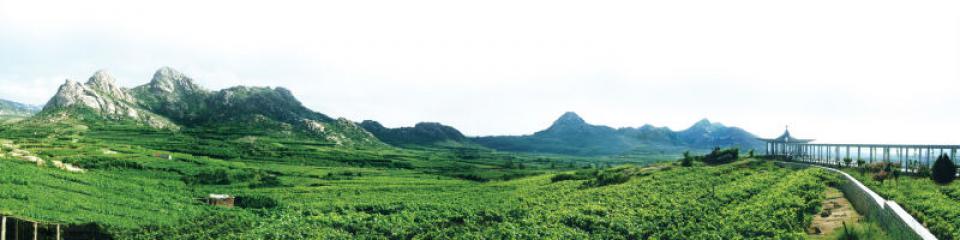 大泽山风景名胜区