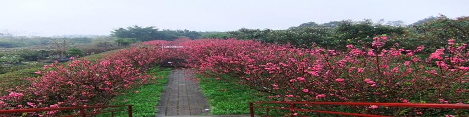 柳州花果山生态园景区