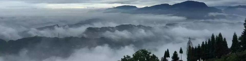 蒙顶山风景名胜区