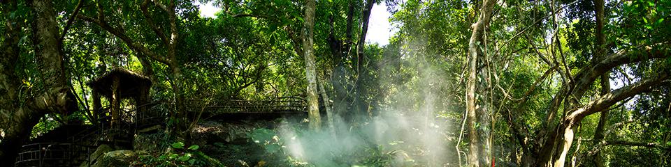呀诺达雨林文化旅游区