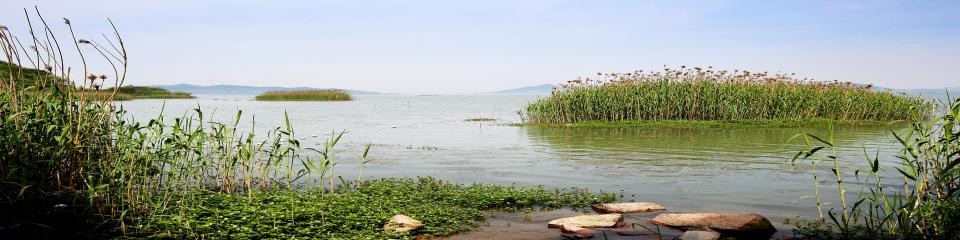 东钱湖马山休闲旅游区
