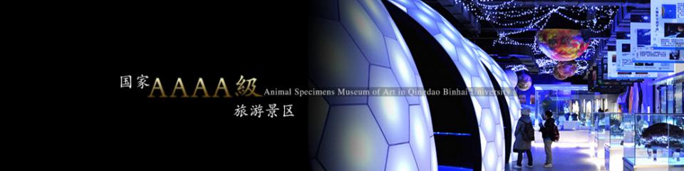 青岛滨海学院世界动物标本艺术馆