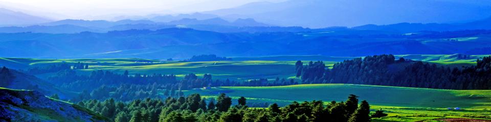 新疆一万泉旅游风景区