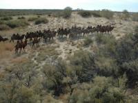凰家梁沙湖生态景区