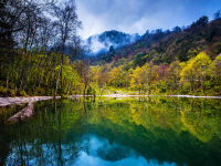 二郎山·喇叭河风景区