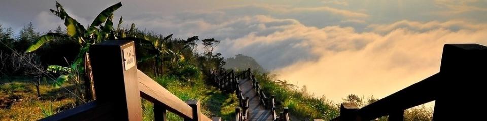 漂流景区（测试）